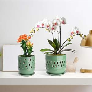 Керамический горшок для орхидей 5 + 6 дюймов, горшки для орхидей с отверстиями, способствующие циркуляции воздуха и дренажу, цветочные горшки для помещений и улицы - Product Image 1