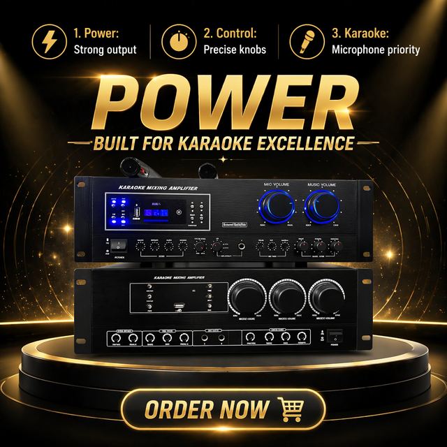 Karaoke Mixer Amplifier 2*250W  Wireless Microphone Input Echo Control Surround Sound Audio Mixer for  Family KTV  Party Use