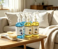 OEM ODM Spray d'aromathérapie pour voiture, marque privée, design moderne, désodorisant parfumé pour salle de bain et maison, 500 ml