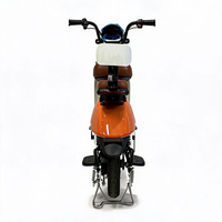 Meilleure Vente Usine 2026 – Vélo Électrique Sans Balais 350W avec Cadre en Acier, Moped à Pédales 48V avec Moteur Moyeu Arrière et Batterie Plomb-Acide