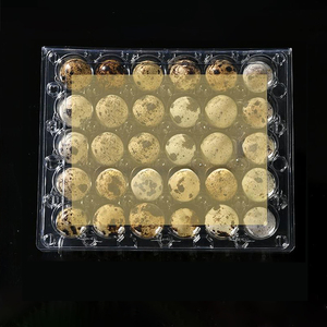 Bandeja para Huevos de Codorniz de Material <span class=keywords><strong>PET</strong></span> de Grado Alimenticio, Alta Transparencia, 30/5*6 Piezas, 198x164x40mm, Venta Caliente, Suministros para Supermercados - Product Image 3