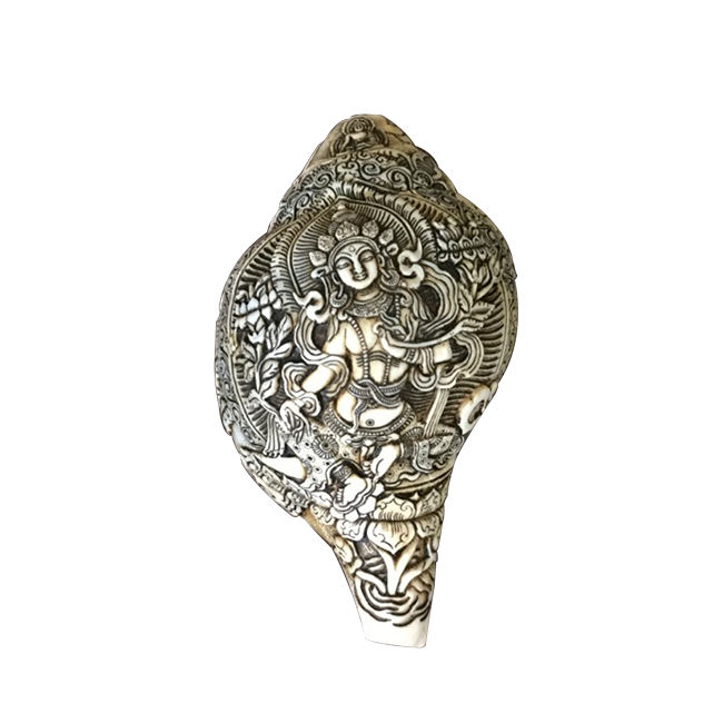 ตามที่แสดง