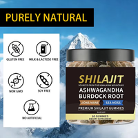 Gummies OEM Shilajit de l'Himalaya, Ashwagandha, Sea Moss et plus, saveur Blue Razz, 60 unités