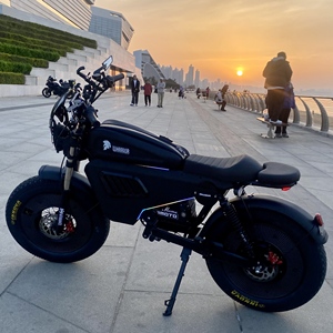 Bicicleta de Montaña 2025 de 3000W con Motor de 1500W, Neumáticos Anchos, Batería de Litio Extraíble de 30AH/60AH - Product Image 2