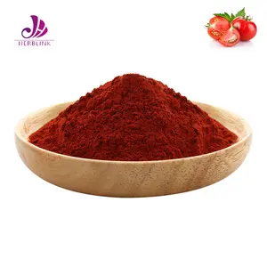 Helathcare Products Tomato Extract Lycopene Powder