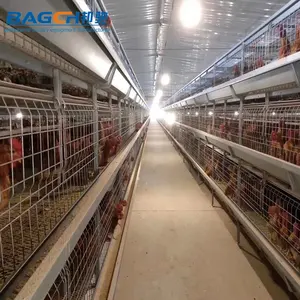 H Loại Lồng Cho Gà Thịt Chất Lượng Tốt Và Giá Thấp Cho Gia Cầm Trang Trại Sản Xuất Tại Trung Quốc