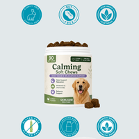 Granulés à mâcher pour chiens OEM ODM avec racine de valériane et L-théanine pour améliorer l'immunité, naturels, 90 pièces/pot