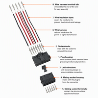 Câble de connexion Micro Quadlok TE MQS 0,64 mm, faisceau de câblage 20 broches pour ECU automobile et recharge de véhicules électriques