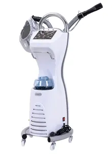 Vente directe d'usine partie de cheveux vapeur casque évaporateur de soins capillaires pour Salon de coiffure Machine ensemble luxe de haute qualité - Product Image 2