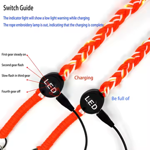 LED Light-up dây buộc dây đeo dây vá điện thoại di động dây buộc Crossbody dây chuỗi Pad - Product Image 6