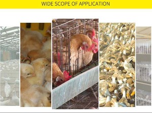 Khay Phân Giống Cho Thú Cưng Tấm Phân Giống Bằng Nhựa Tấm Phân Gà Lồng Gà - Product Image 6