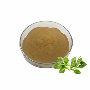 Manufacturer Common Andrographis herb Extract Andrographis Paniculata Powder