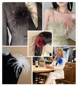 เครื่องประดับปาร์ตี้สไตล์โบฮีเมียน ขนนก เข็มกลัดและกิ๊บติด<span class=keywords><strong>ผม</strong></span> สำหรับงานปาร์ตี้ เทศกาล ของขวัญวันหยุดสไตล์โบฮีเมียน - Product Image 3