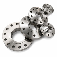 Bride aveugle en acier inoxydable 316L, conforme NACE MR0175, pour services pétrochimiques, norme ASME B16.5 CL300 RF, galvanisée à chaud