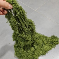 500g de gazon artificiel en mousse simulée pour aménagement paysager, bonsaï, décoration de plantes vertes