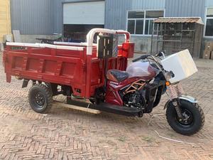 Triciclo Motorizado de Carga de Alta Calidad con Plataforma Abierta, Harmony 200-250W 36V, Alta Velocidad, Máxima Capacidad de Carga - Product Image 2