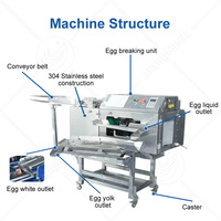 Machine industrielle automatique ORME pour la rupture des œufs et la séparation du jaune et du blanc