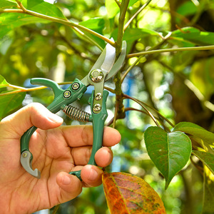 Green Pruning <b>Shears</b> Stainless Steel 10-20 Mm Manual For Branches Trimming Garden <b>Tools</b> - Product Image 1