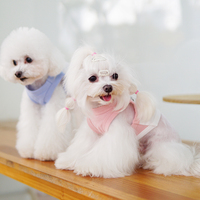 Gilet pour chien avec imprimé de fruits mignons, vêtements d'été/printemps pour animaux de compagnie, Saint-Valentin et Nouvel An chinois, nouveauté 2022