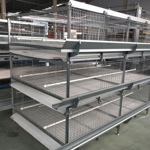 Thông minh tự động lớp gà lồng hệ thống | hiện đại gia cầm trang trại thiết bị với cho ăn và phân hệ thống - Product Image 3