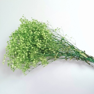 Gypsophila Bouquet Preserved Baby'<span class=keywords><strong>s</strong></span> Breath Flowers Flores secas multicolores Baby <span class=keywords><strong>s</strong></span> Breathe para boda y decoración de fiesta en casa - Product Image 4