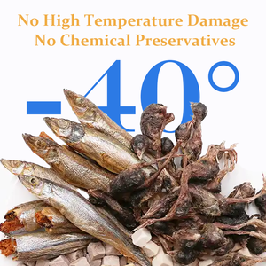 ShuangYuan Venta caliente pollo liofilizado orgánico saludable masticar bocadillo al por mayor golosinas para perros y comida para gatos carne suministro a granel - Product Image 4