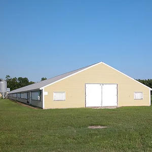 Kanatlı yetiştirme iç<span class=keywords><strong>in</strong></span> özelleştirilebilir dayanıklı çelik yapı tavuk evi - Product Image 1