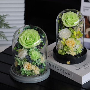 Rosa Preservada con Cúpula, Estilo 2026, Flor Eterna, Amor Activo, para Regalos Festivos y Decoración de Escenarios, Rosa Peonía - Product Image 2