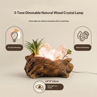 Lampe d'ambiance USB en cristal naturel brut, base sculptée à la main en racine blanche, lampe de chevet en pot pour la maison