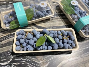 New Stype vassoio per alimenti di tutte le dimensioni set di utensili per la consegna rapida natura <span class=keywords><strong>ekos</strong></span> vassoio per sushi impilabile con coperchi per animali domestici/PLA - Product Image 6