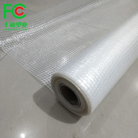 130gsm Heavy Duty Léger Clair HDPE Bâche Étanche En Plastique pour Serre Tomate L'élevage Vignoble Couverture