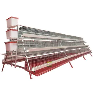 cages for chicken Poultry Farm Chicken Coop 4 ply 5 door A Type 160 chickens/set Egg Laying Hens Layer For 1000 5000 10000 Birds
