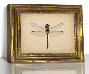 Para Dormitorio, Baño, Sala de Estar, Lienzo con Diseño de Gato <span class=keywords><strong>Vaquero</strong></span>, Decoración de Pared Vintage Occidental con Marco Dorado, OEM ODM - Product Image 6