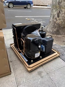 Máy làm lạnh Tecumseh CAJ9510Z TAJ2446Z 1hp, sử dụng gas R404, dùng cho phòng lạnh - Product Image 4