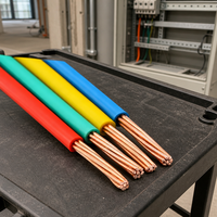 Kabel Tembaga Berisolasi PVC Inti Tunggal untuk Panel Distribusi, Peralatan Industri, Sistem Komputer, dan Gulungan Kabel