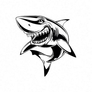 Pegatina Paul & Shark - Product Image 1