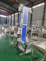 Chaîne de convoyeur inclinée à grande vitesse en acier inoxydable 304 de type 300 avec capuchon en plastique, nouvelle machine de levage pour usage en restaurant