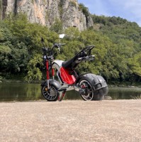 Scooter à deux roues avec pneus larges, batterie amovible 4000W 60V40AH, certifié EEC, avec siège pour adulte, 75KM/H