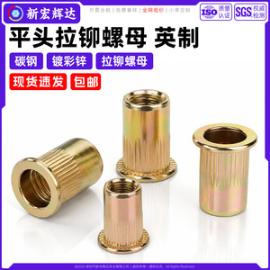 Xin Honghuida Écrou à riveter en acier au carbone 6-32 8-32 10-32 10-24 14-20 516-18 38-16 12-13, tête plate moletée, zingué coloré - Product Image 2