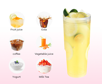 Gobelet en plastique Everich 24oz 32oz 40oz, bouteille d'eau transparente en Tritan à double paroi avec couvercle à paille rabattable, idéal pour les boissons froides
