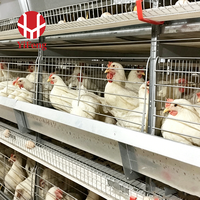 Cage à poulets de chair de type H, cage automatique à 4 niveaux avec sol en plastique, courroie de fumier, mangeoire et abreuvoir à tétine pour poulets de chair, OEM
