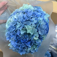 Bloemen Bruiloft Decor Natuurlijke Real Touch Geconserveerde Grote Blad Hortensia Met Lange Stengel Gedroogde Hortensia Bloemen