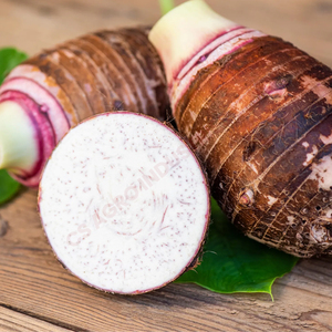 Raíz de Taro Productos de calidad superior para la industria y las ventas minoristas Tamaño constante Satisfacción del cliente - Product Image 2