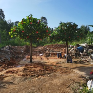 Vente directe usine : <span class=keywords><strong>Arbre</strong></span> artificiel <span class=keywords><strong>Litchi</strong></span> de 3m, plante décorative, 90kg, durée de vie de 10 ans, pour la maison et le jardin - Product Image 3