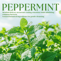 Soins intimes de qualité supérieure, gel nettoyant pour le yoni à la menthe poivrée 100% naturel à base de plantes, apaisant, nettoyant, équilibrant le pH, contrôle des odeurs, non irritant