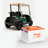 Kit Baterai LiFePO4 TEMGO 48V 100Ah untuk Upgrade Golf Cart, Dilengkapi BMS 300A, Casing Logam, Bluetooth, LCD, dan Pengisi Daya