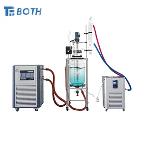 Hoge Kwaliteit Laboratorium Dubbele Laag 50l 80l Jacketed Glas Reactoren Machine Chemische Hydrogenation Glazen Vaten Reactie