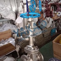 Válvula de Compuerta con Brida de Acero Inoxidable, CF8/CF8M, Vástago Ascendente, Resistente a la Corrosión de Agua, Aceite y Vapor