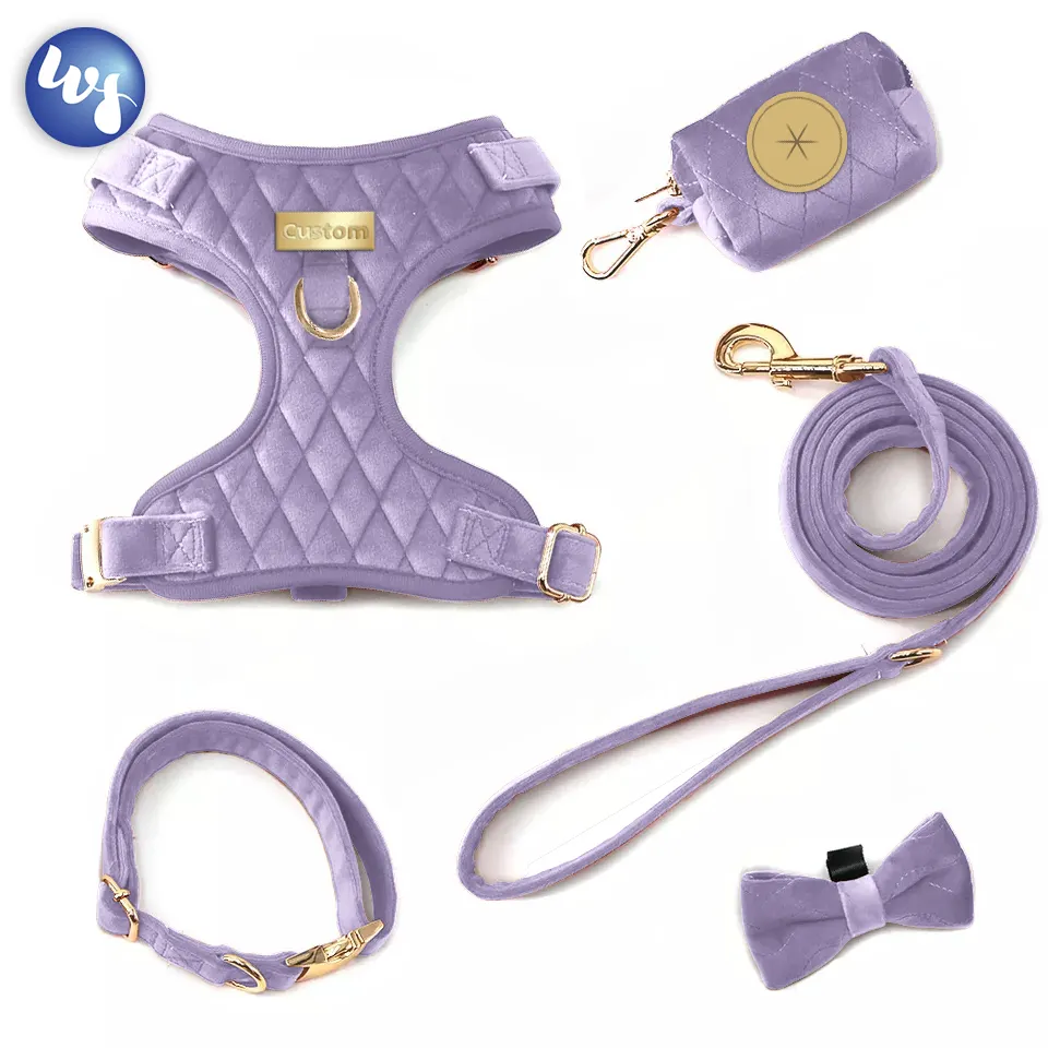 Hoge Kwaliteit Zacht Pluche Fluwelen Stof Mesh Gevoerde Kleine Verstelbare Harige Corduroy Dog Harness En Leash Set