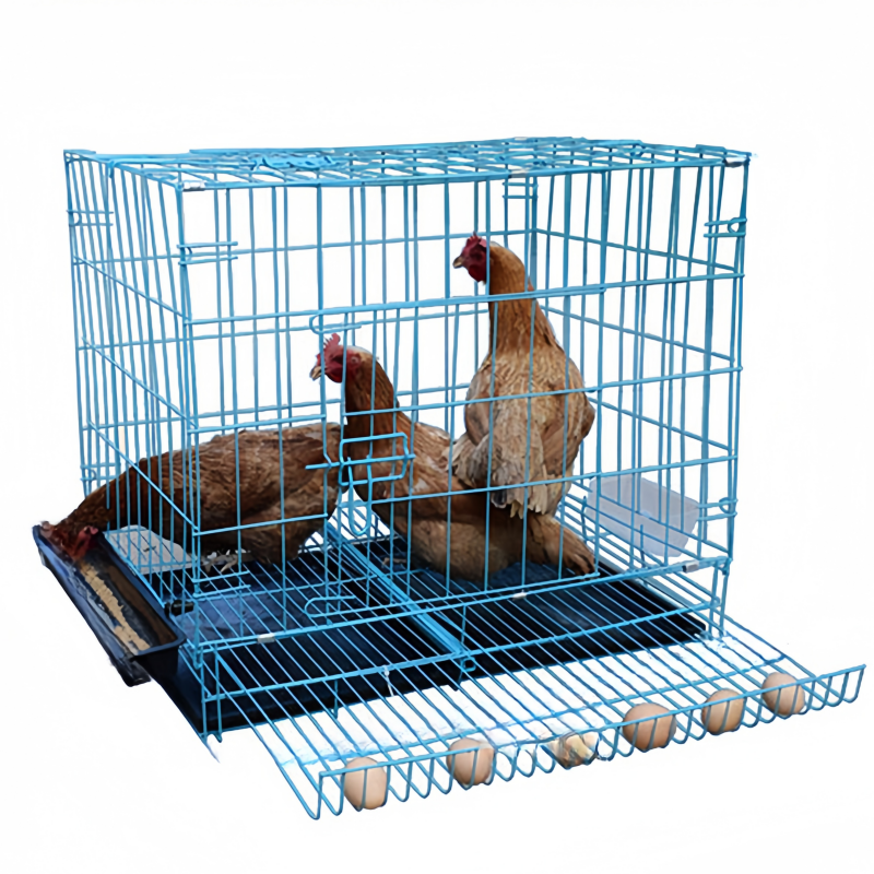 Broiler Transport Box Chicken Coop Plastic